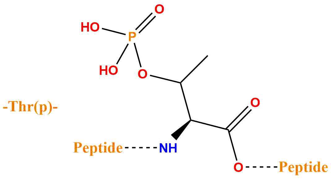 磷酸化蘇氨酸(專肽生物tsjxdd.com)