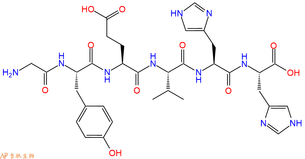 多肽GYEVHH的參數和合成路線|三字母為Gly-Tyr-Glu-Val-His-His|專肽生物產