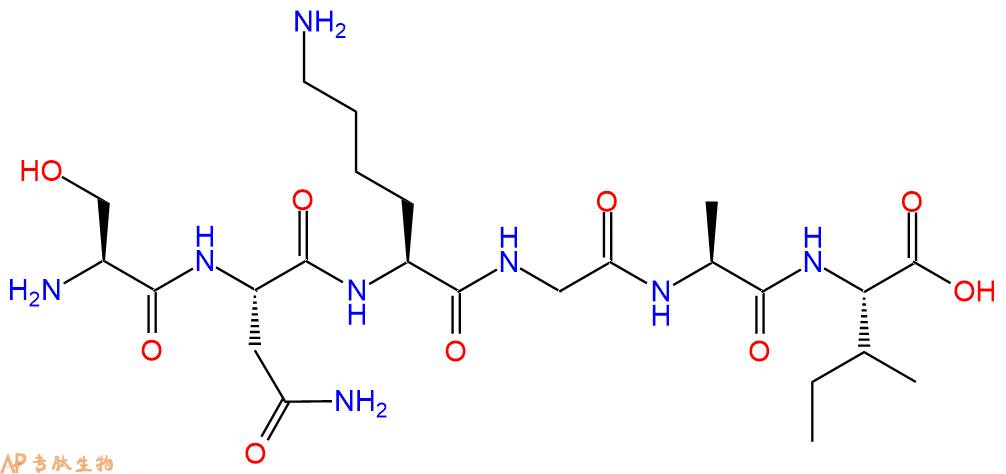 多肽SNKGAI的參數(shù)和合成路線|三字母為Ser-Asn-Lys-Gly-Ala-Ile|專肽生物產(chǎn)