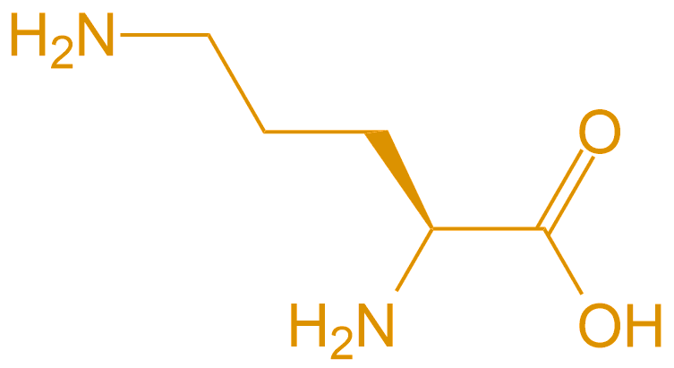 鳥氨酸Orn(專肽生物tsjxdd.com)