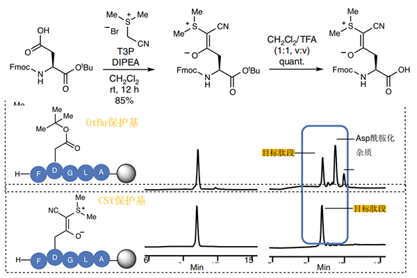 使用氰基亞硫?；?CYS)作為羧酸保護基防止肽合成過程中的DG重排和天冬酰胺的形成