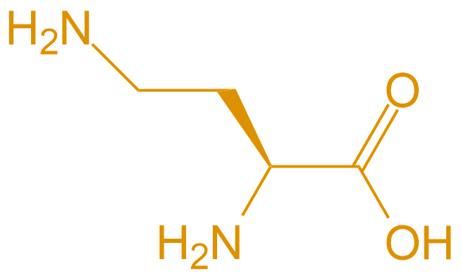 2,4-二氨基丁酸(專肽生物tsjxdd.com)