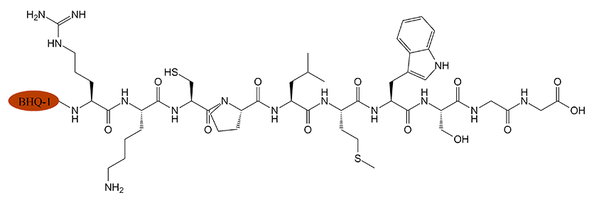 熒光標記產品(專肽生物tsjxdd.com)