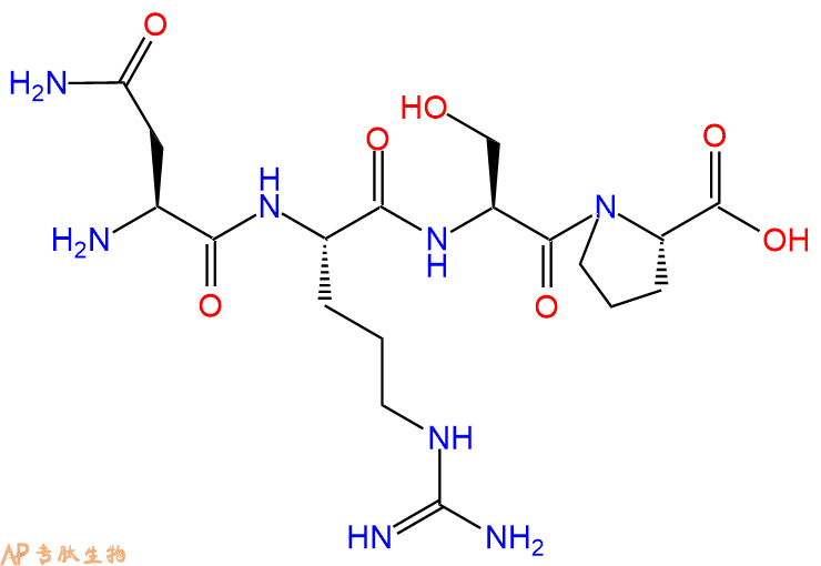 多肽NRSP的參數(shù)和合成路線|三字母為Asn-Arg-Ser-Pro|專肽生物產(chǎn)品-定制多肽合成服務(wù)