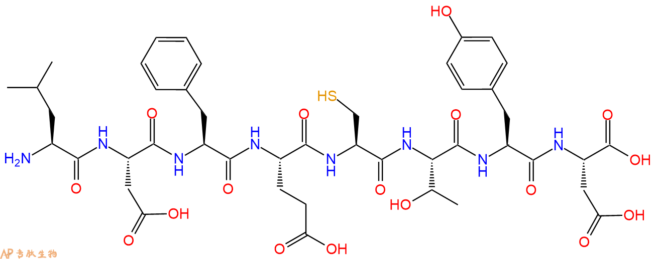 多肽LDFECTYD的參數(shù)和合成路線|三字母為Leu-Asp-Phe-Glu-Cys-Thr-Tyr