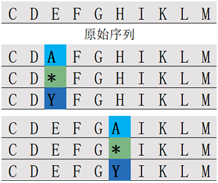 位置掃描肽庫計(jì)算器(專肽生物tsjxdd.com)