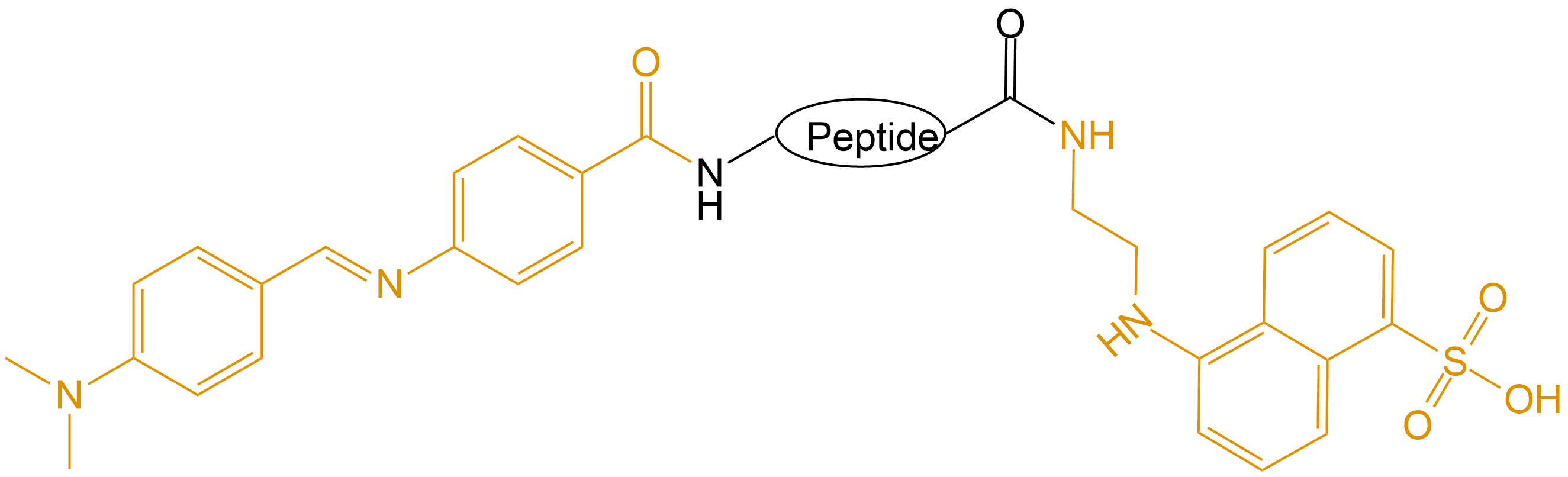 DABCYL和EDANS雙標記(專肽生物tsjxdd.com)