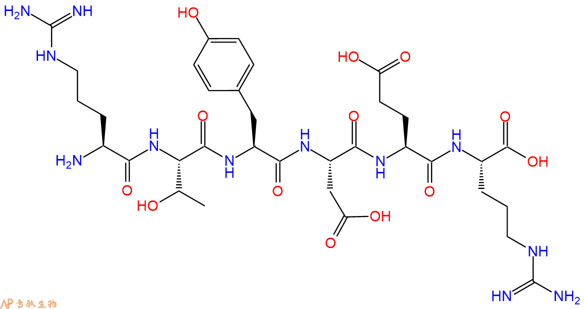 多肽RTYDER的參數(shù)和合成路線|三字母為Arg-Thr-Tyr-Asp-Glu-Arg|專肽生物產(chǎn)