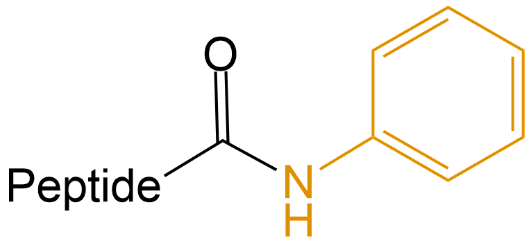 苯胺修飾(專肽生物tsjxdd.com)