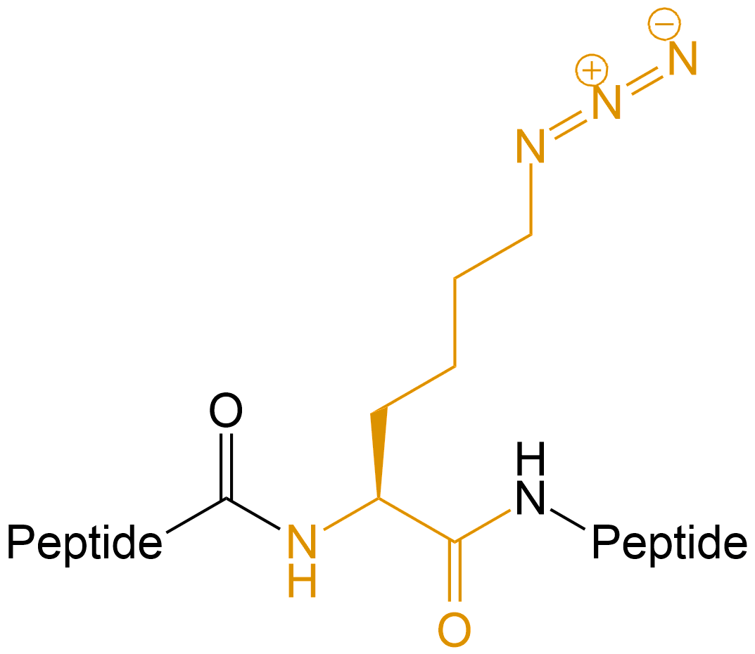 疊氮修飾(專肽生物tsjxdd.com)