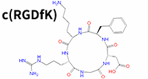 RGD環(huán)肽c(RGDfK)