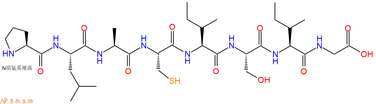 多肽PLACISIG的參數(shù)和合成路線|三字母為Pro-Leu-Ala-Cys-Ile-Ser-Ile