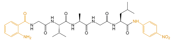 雙標記多肽的結構(專肽生物tsjxdd.com)