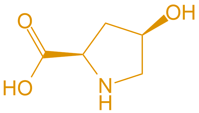 D型羥脯氨酸(專肽生物tsjxdd.com)