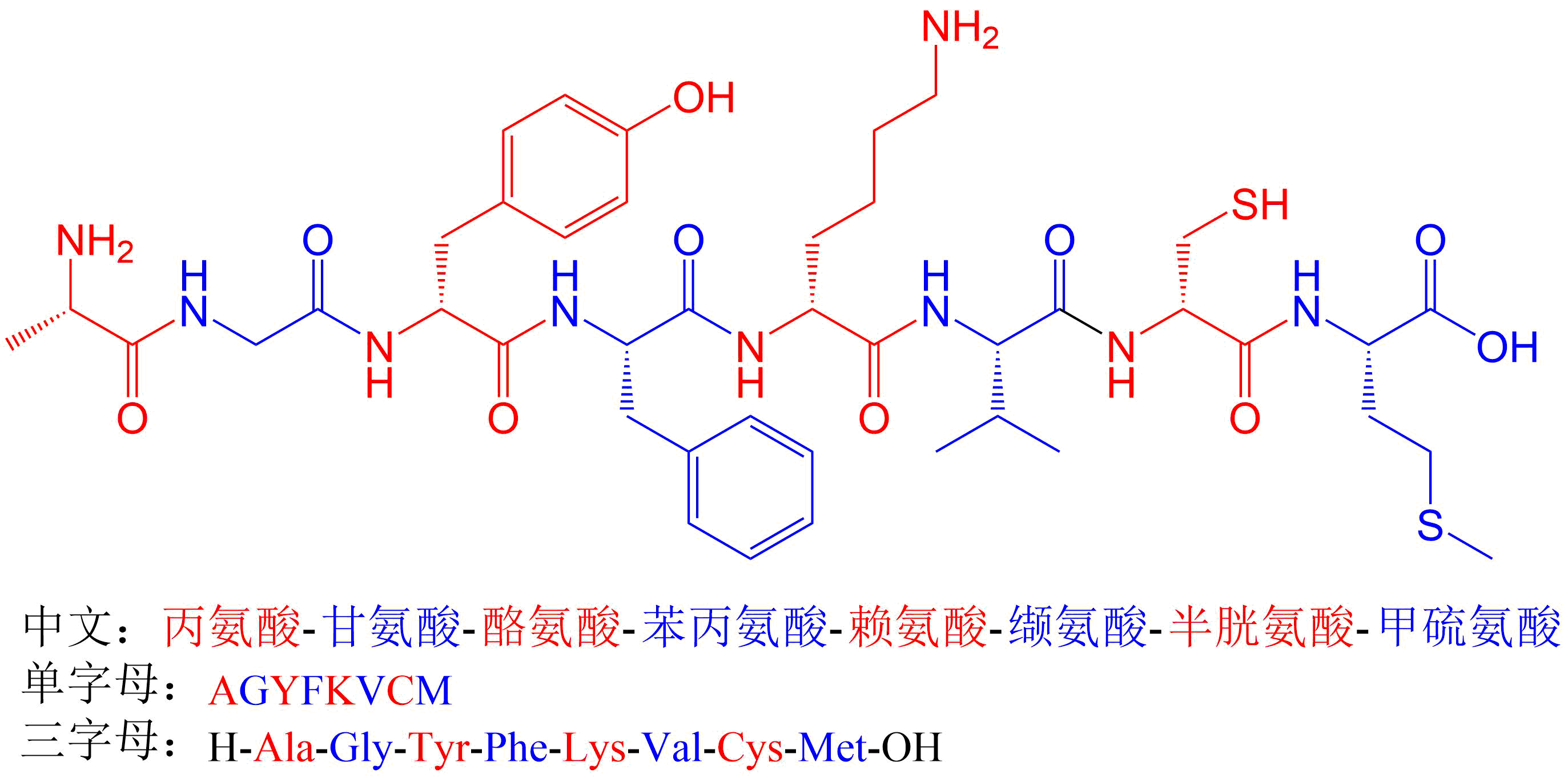 如何正確書寫多肽(專肽生物tsjxdd.com)