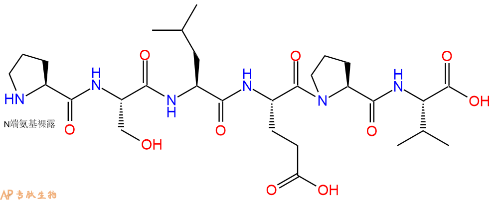 多肽PSLEPV的參數(shù)和合成路線|三字母為Pro-Ser-Leu-Glu-Pro-Val|專肽生物產(chǎn)