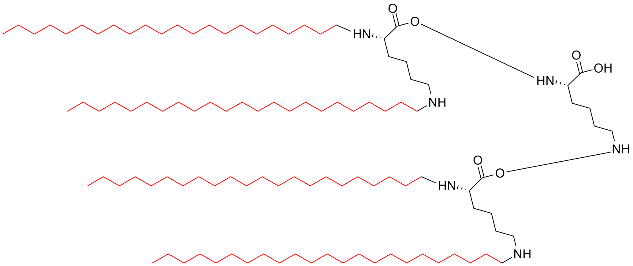 四分支多聚抗原肽(專肽生物tsjxdd.com)