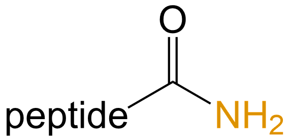 C端酰胺化(專肽生物tsjxdd.com)