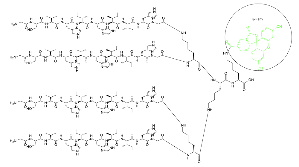 多聚抗原肽，分支肽的結構(專肽生物tsjxdd.com)