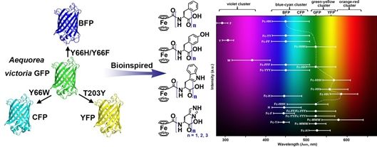 天津大學(xué)：新型仿生熒光多肽研究獲新進(jìn)展