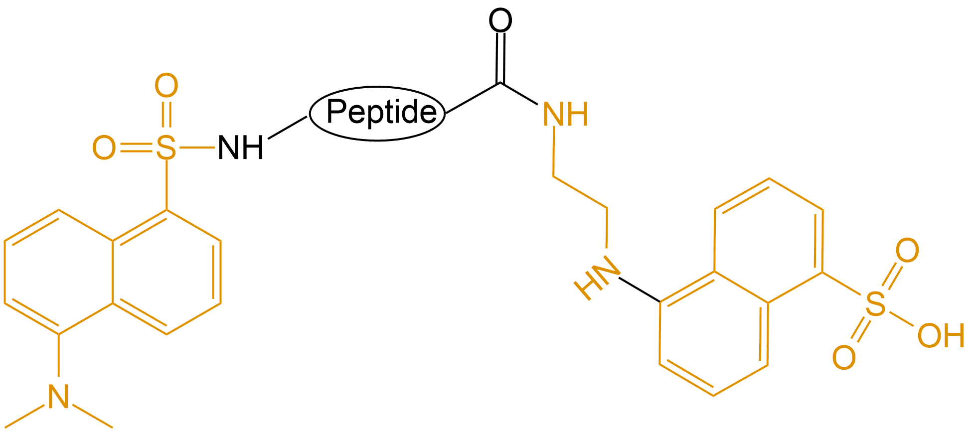 Dansyl和EDANS雙標記(專肽生物tsjxdd.com)