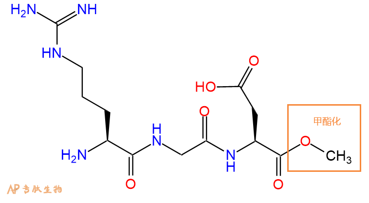 多肽C端的酯化修飾（甲酯化OMe\乙酯化OEt\芐酯化OBzl）|專肽生物多肽計(jì)算器