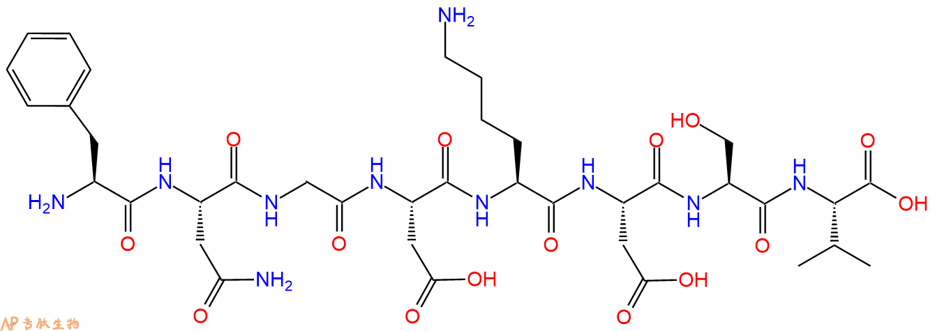 多肽FNGDKDSV的參數(shù)和合成路線|三字母為Phe-Asn-Gly-Asp-Lys-Asp-Ser