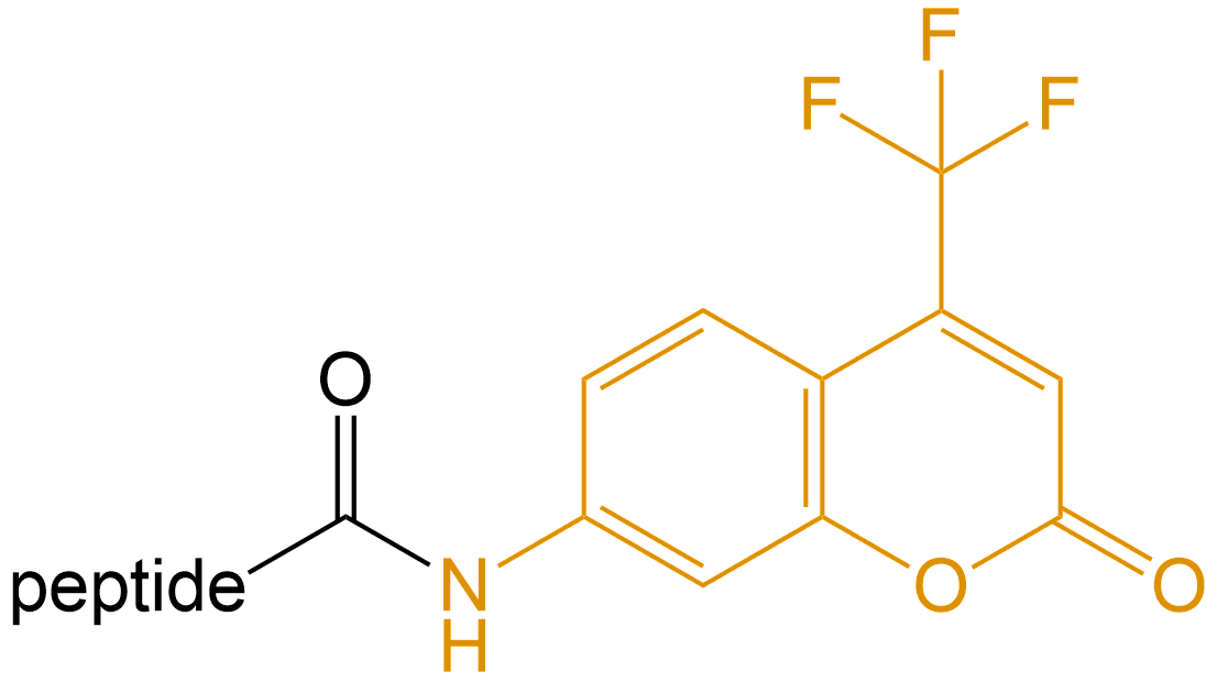 香豆素修飾(專肽生物tsjxdd.com)