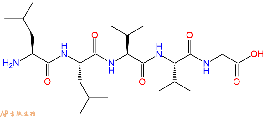 多肽LLVVG的參數(shù)和合成路線|三字母為Leu-Leu-Val-Val-Gly|專肽生物產(chǎn)品-定制多