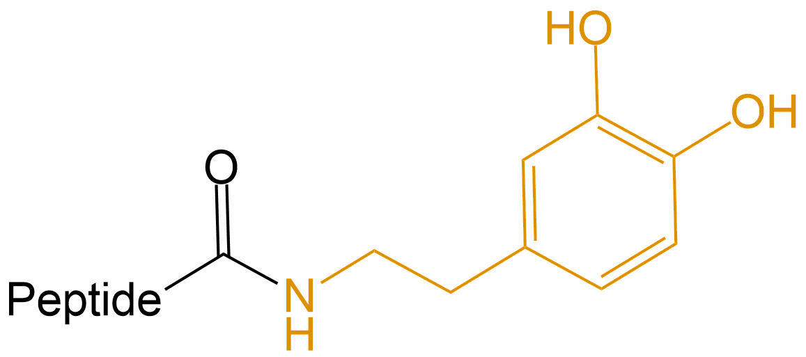 多巴胺修飾(專肽生物tsjxdd.com)