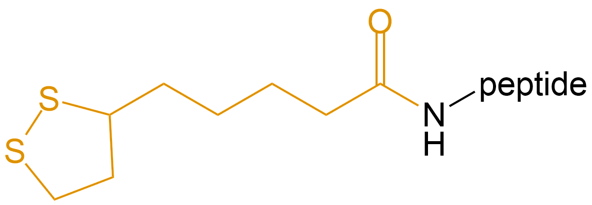 多肽硫辛酸修飾(專肽生物tsjxdd.com)