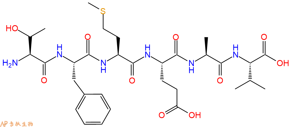 多肽TFMEAV的參數(shù)和合成路線|三字母為Thr-Phe-Met-Glu-Ala-Val|專肽生物產(chǎn)