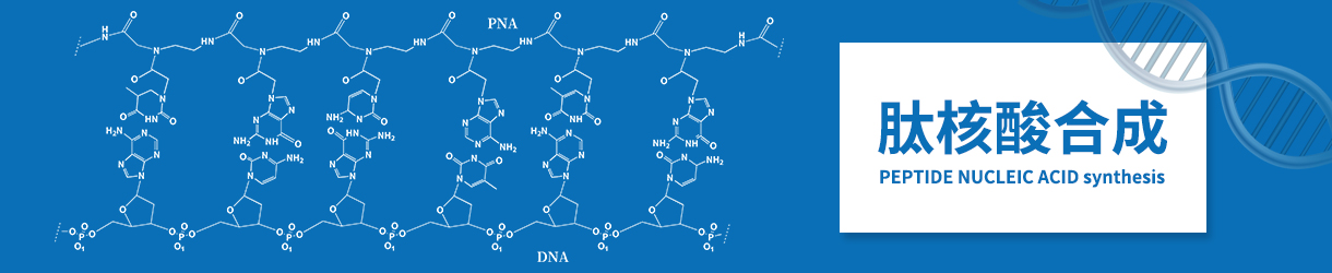 肽核酸合成