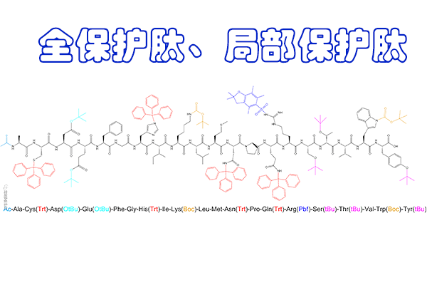 了解全保護肽和局部保護肽