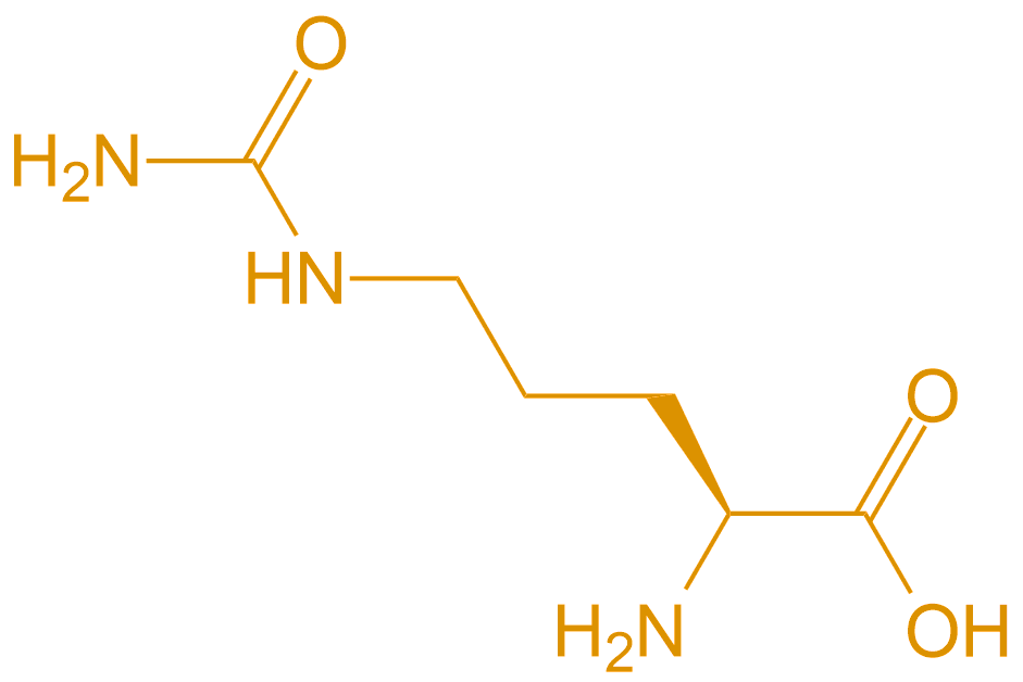 瓜氨酸Cit(專肽生物tsjxdd.com)