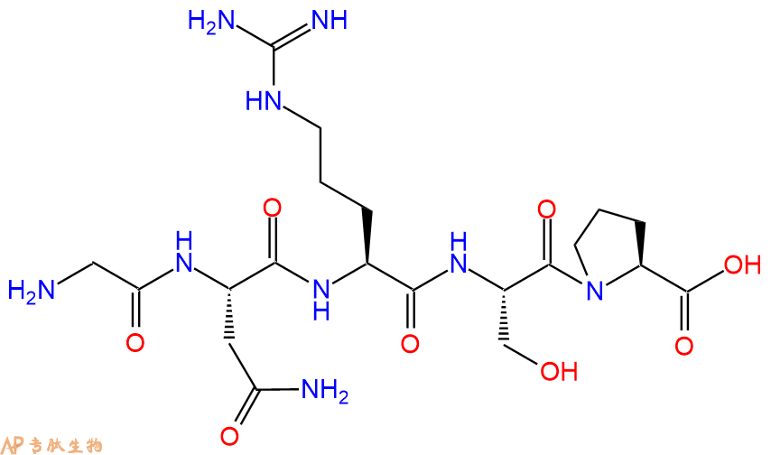 多肽GNRSP的參數(shù)和合成路線|三字母為Gly-Asn-Arg-Ser-Pro|專肽生物產(chǎn)品-定制多