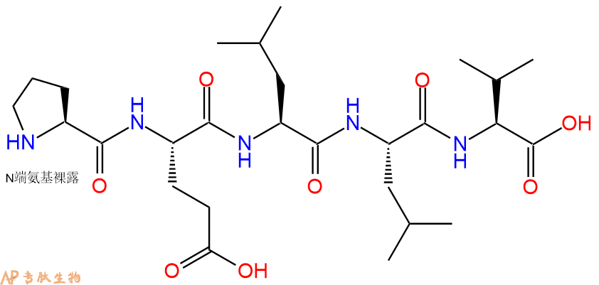 多肽PELLV的參數(shù)和合成路線|三字母為Pro-Glu-Leu-Leu-Val|專肽生物產(chǎn)品-定制多