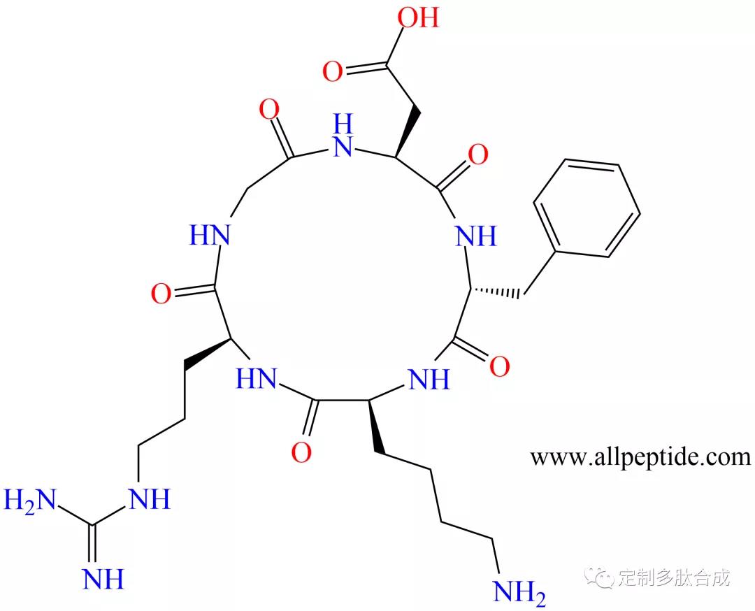 RGD環(huán)肽