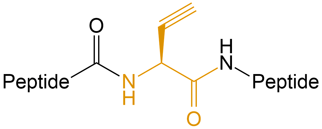 烯基修飾(專肽生物tsjxdd.com)