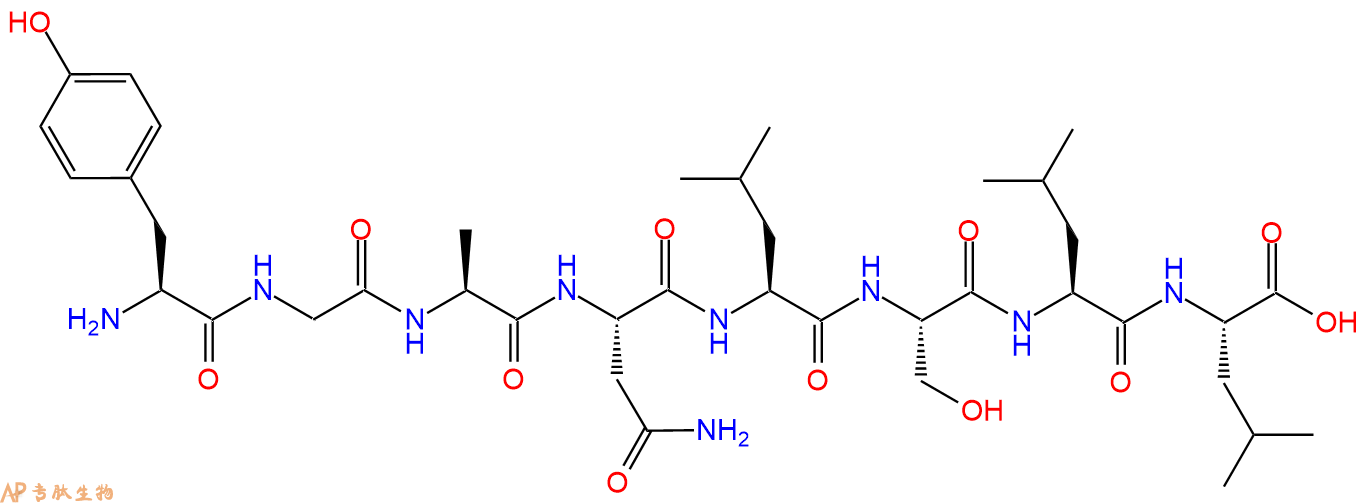 多肽YGANLSLL的參數(shù)和合成路線|三字母為Tyr-Gly-Ala-Asn-Leu-Ser-Leu