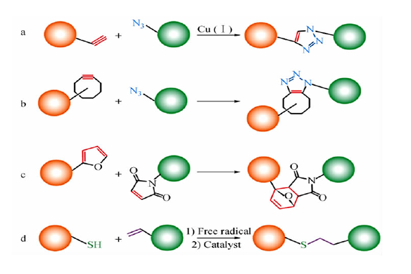 點擊化學(xué)（Click Chemistry ）