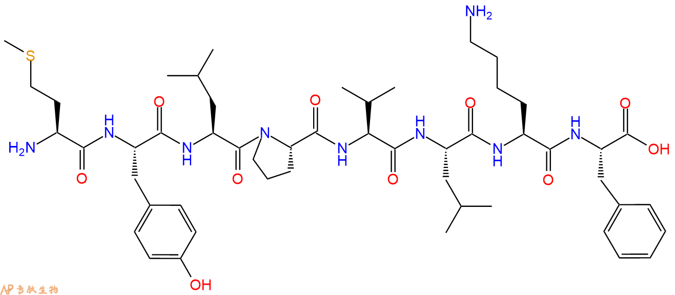 多肽MYLPVLKF的參數(shù)和合成路線|三字母為Met-Tyr-Leu-Pro-Val-Leu-Lys