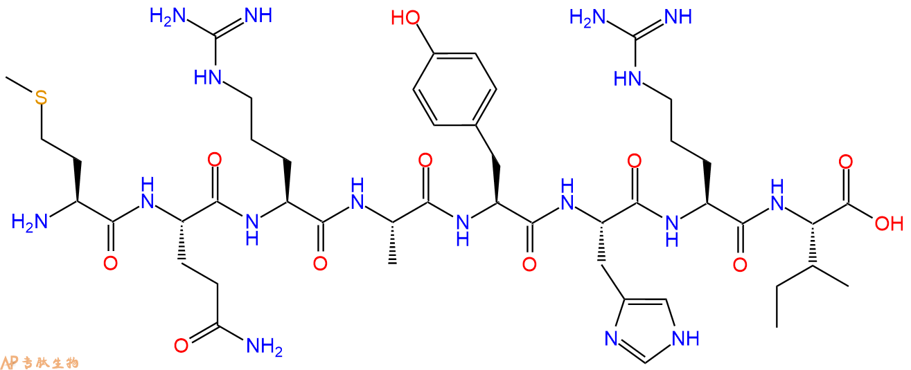 多肽MQRAYHRI的參數(shù)和合成路線|三字母為Met-Gln-Arg-Ala-Tyr-His-Arg