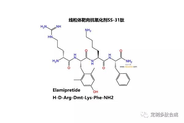 線(xiàn)粒體靶向抗氧化劑SS-31肽|736992-21-5|Elamipretide|H-D-Arg-D