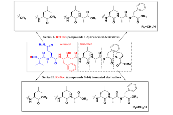 推薦文獻(xiàn)：設(shè)計(jì)，合成和生物活性的tasiamide B衍生物作為組織蛋白酶D抑制劑