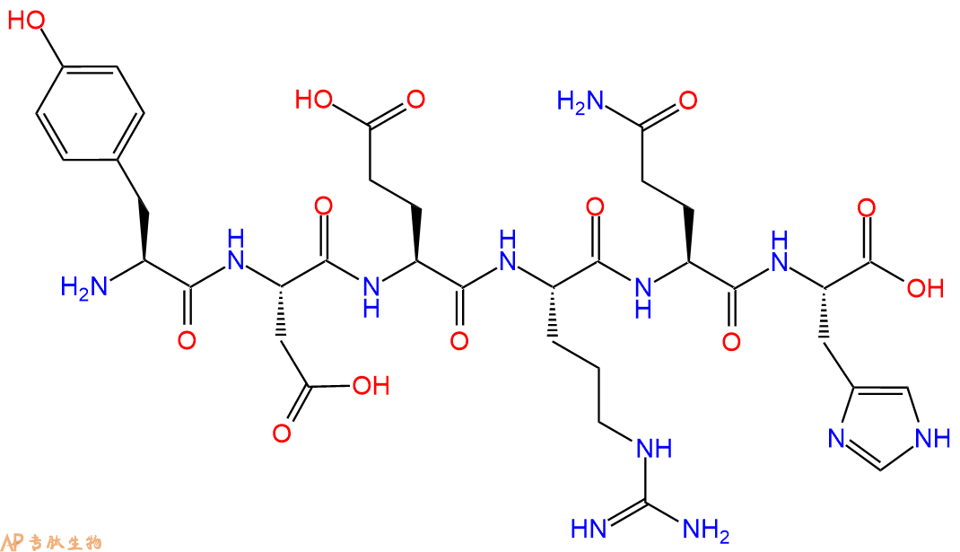 多肽YDERQH的參數(shù)和合成路線|三字母為Tyr-Asp-Glu-Arg-Gln-His|專肽生物產(chǎn)