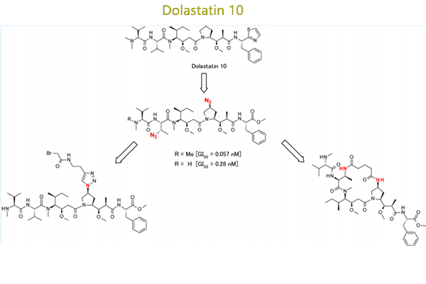 （海兔毒素）線性和大環(huán)含吡咯烷環(huán)修飾的Dolastatin 10類似物的合成和評價