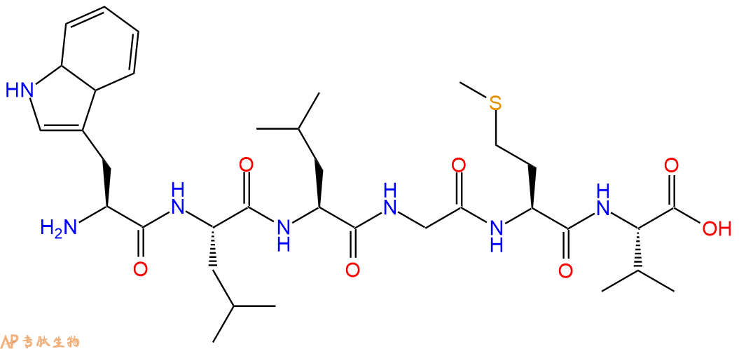 多肽WLLGMV的參數(shù)和合成路線|三字母為Trp-Leu-Leu-Gly-Met-Val|專肽生物產(chǎn)