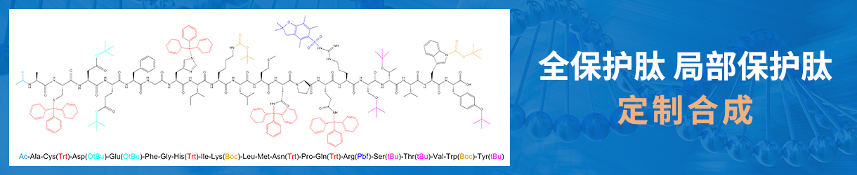 全保護/局部保護的多肽合成