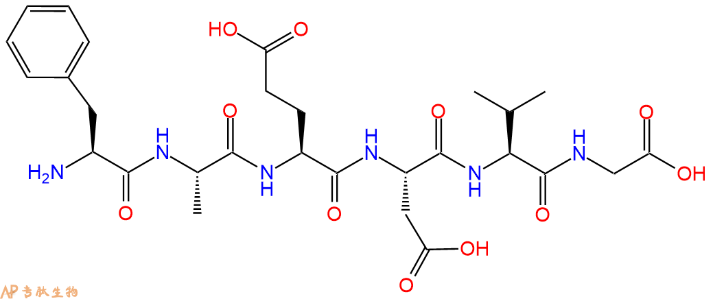 多肽FAEDVG的參數(shù)和合成路線|三字母為Phe-Ala-Glu-Asp-Val-Gly|專肽生物產(chǎn)